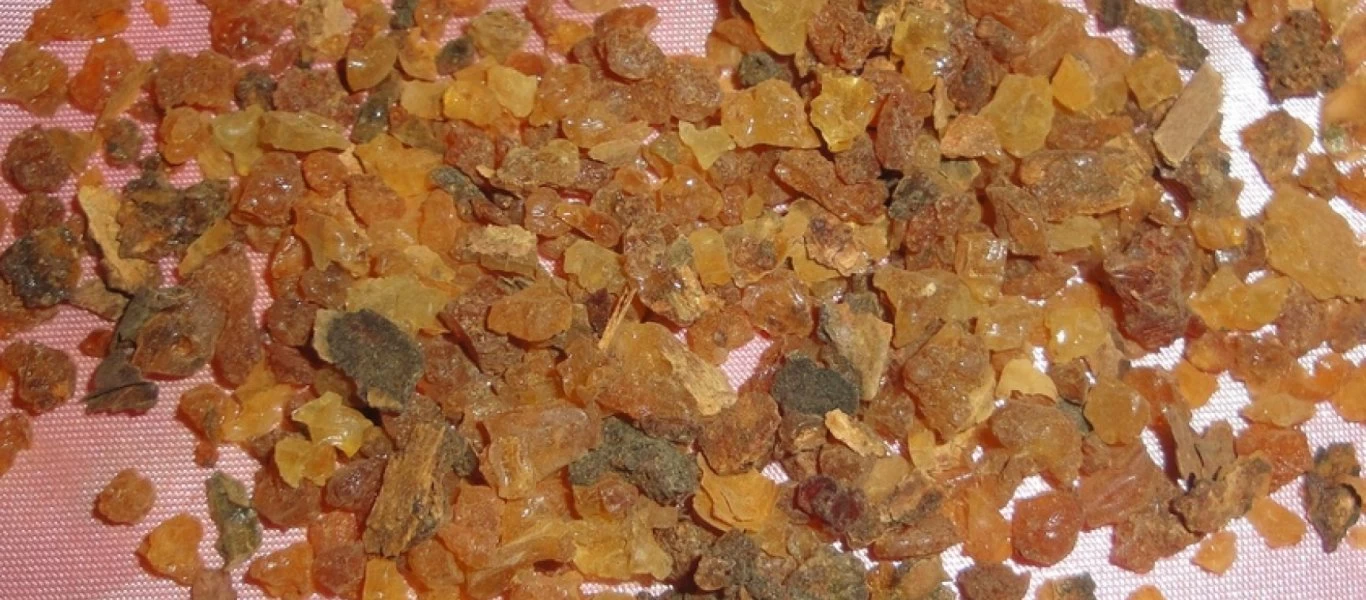 Λιβάνι: Αυτές είναι οι θεραπευτικές του ιδιότητες